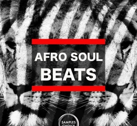 Samples Choice Afro Soul Beats WAV